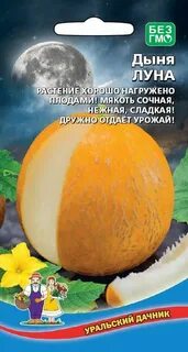 Дыня награда