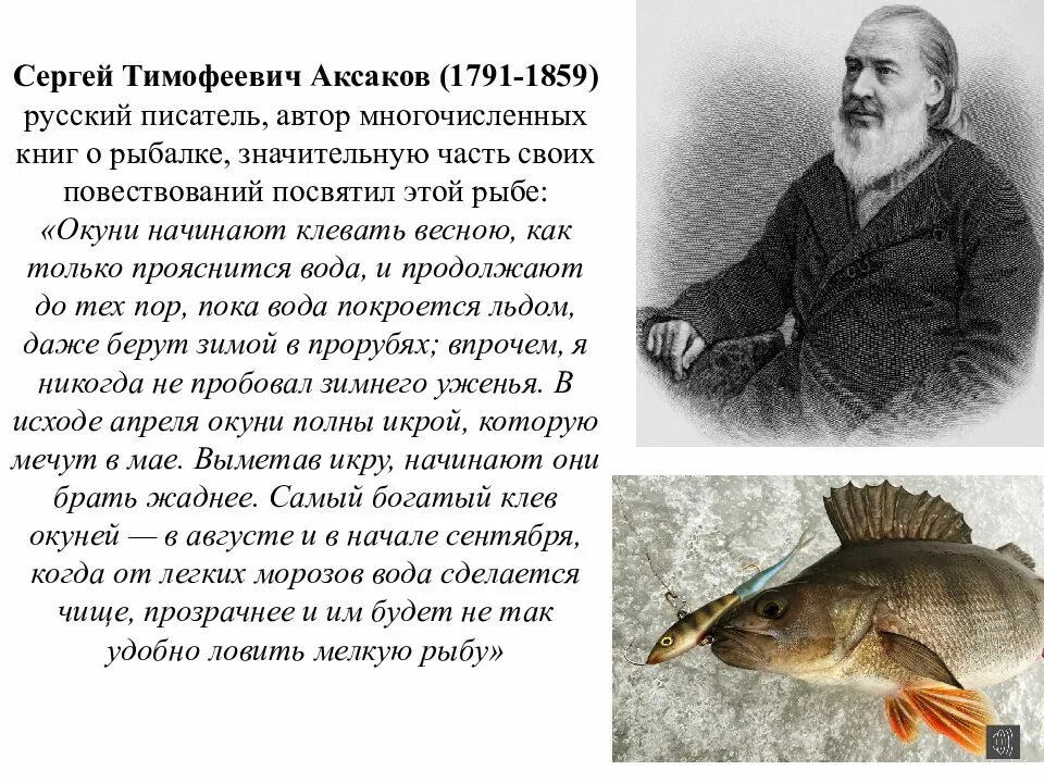 Фразы писателей о рыбалке. Писатели на рыбалке.
