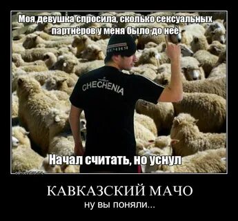 Читай коран баран