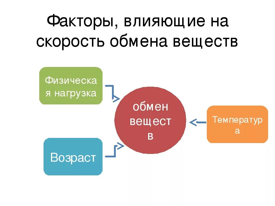 Обмен поменяюсь. Факторы влияющие на скорость обмена веществ в организме. Факторы влияющие на метаболизм. Факторы влияющие на обмен веществ. Факторы влияющие на скорость обмена веществ.