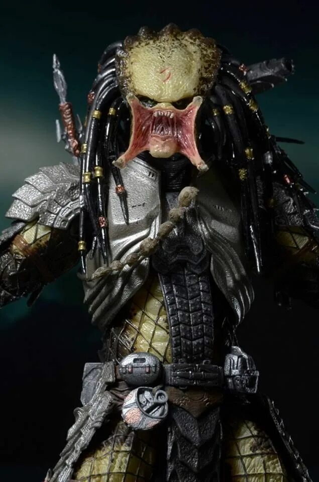 Dayo predator