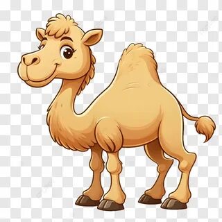 Исламдық секс видеолар