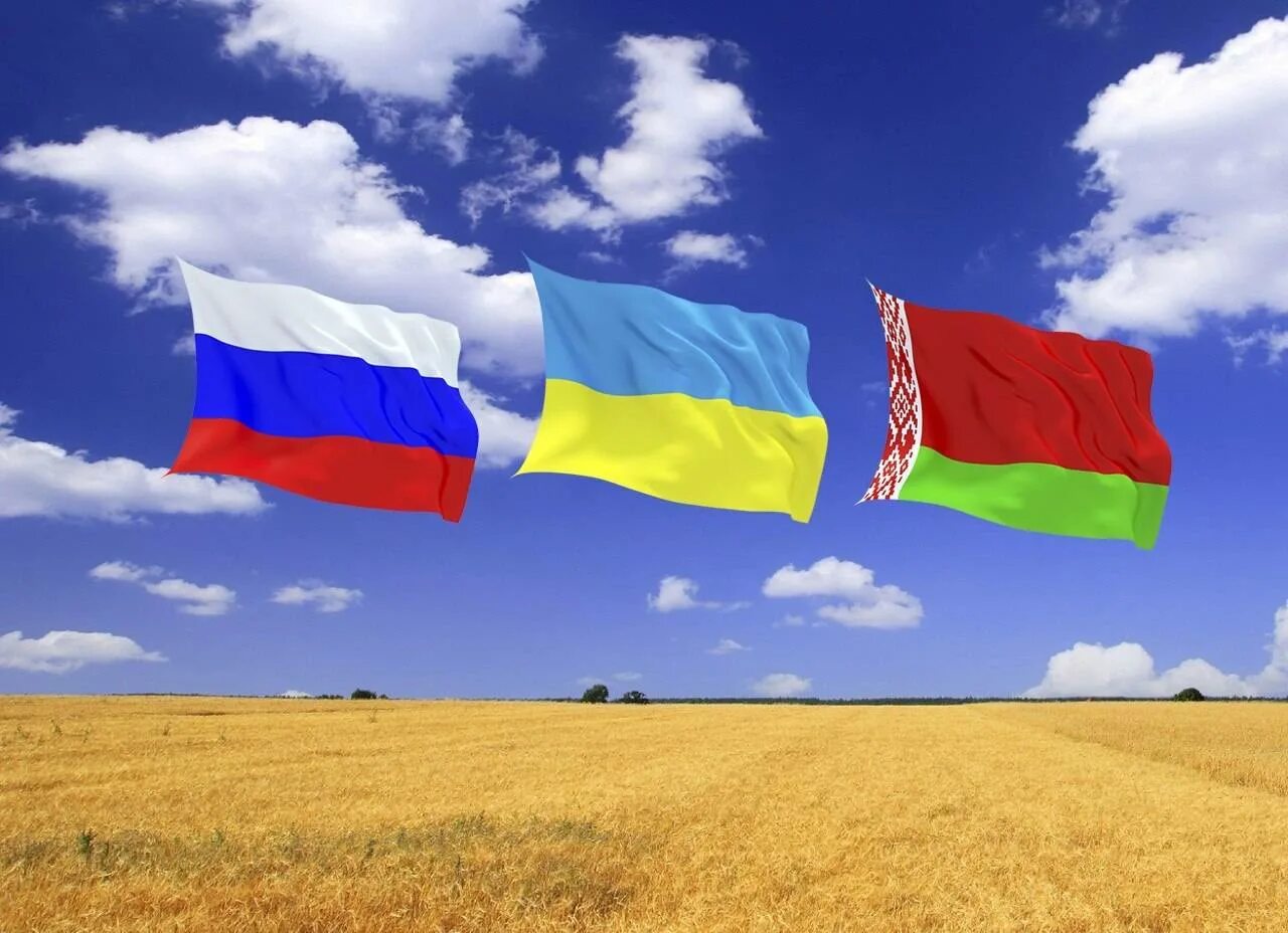 Флаг России Украины и Белоруссии вместе. Россия Украина Беларусь флаги. Три флага Россия Беларусь Украина. Украина – это Россия.