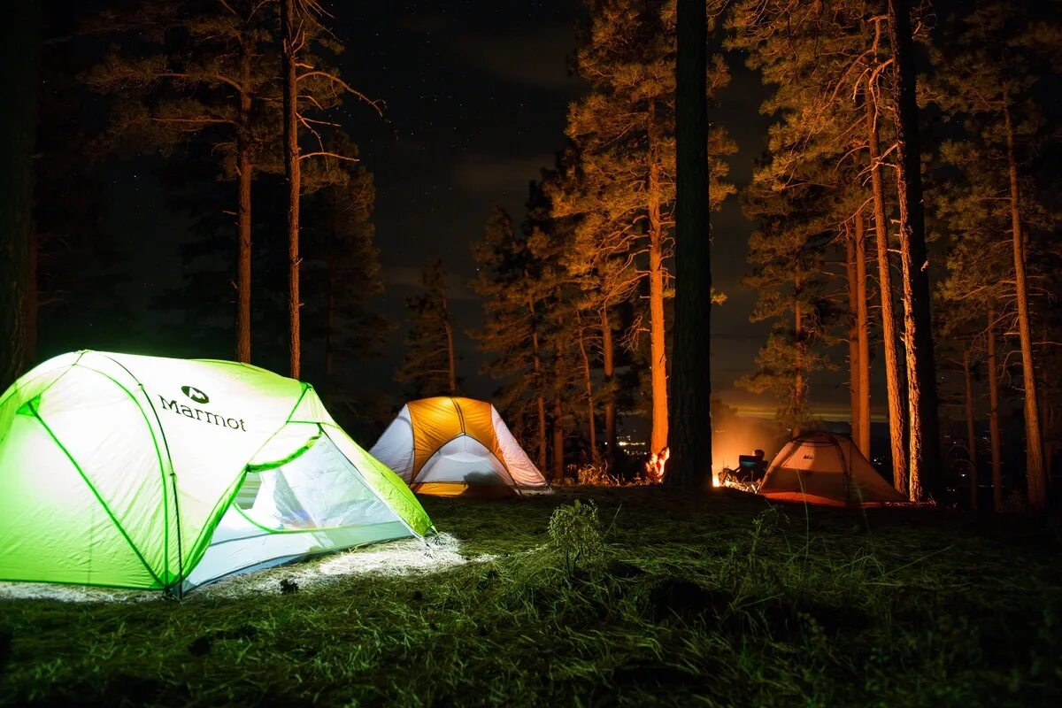 Палаточный лагерь в лесу у реки. Берег 78 кемпинг. Природа походы лес. Поход с палатками. Карелия карелия костер палатка.