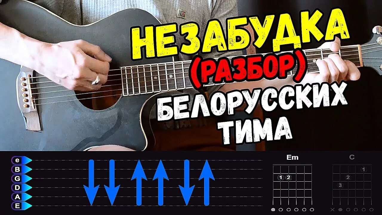 Незабудка на гитаре