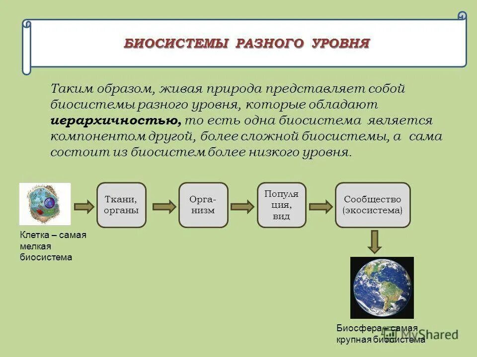 Биосистемы 2024