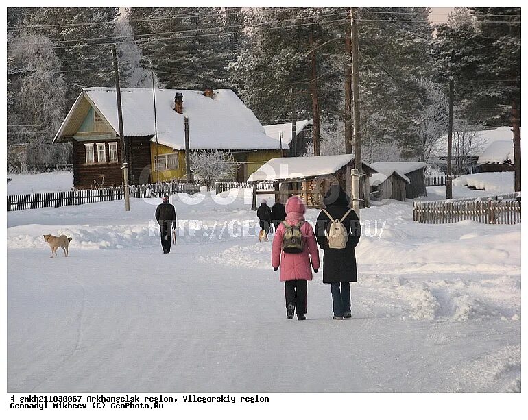 широкий прилук архангельская область вилегодский район. широкий прилук вилегодский район. павловск вилегодский район. широкий прилук вилегодского района. д.