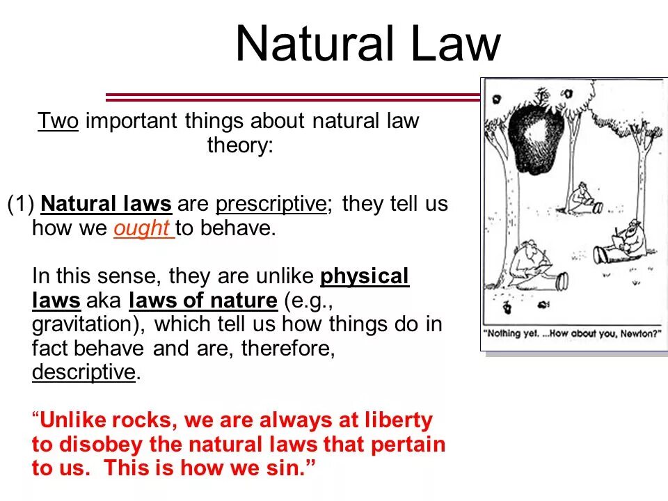 Natural Law. Natural Law Theory. Natural and positive Law. Laws of nature examples.