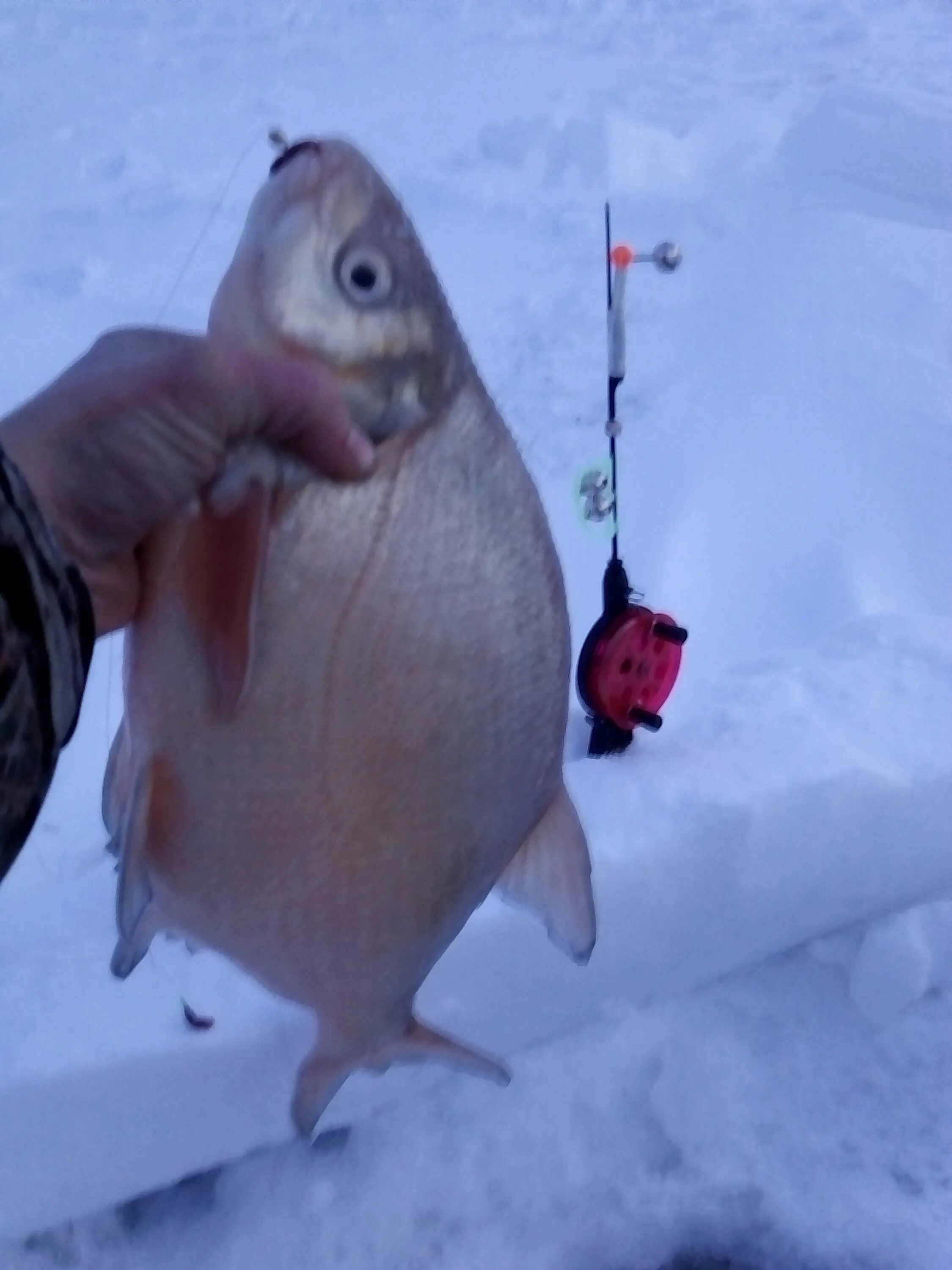 рыбалка обь зимой