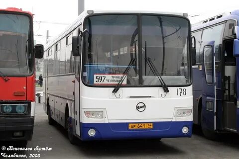 Автобус 597