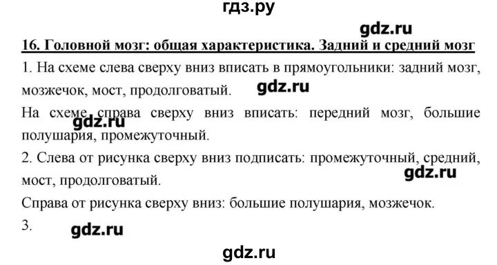 Биология 8 класс параграф 16. Гдз биология 16 параграф. Параграф 17 параграф 16 17 по биологии. Гдз по биологии 8 класс рабочая тетрадь Жемчугова.