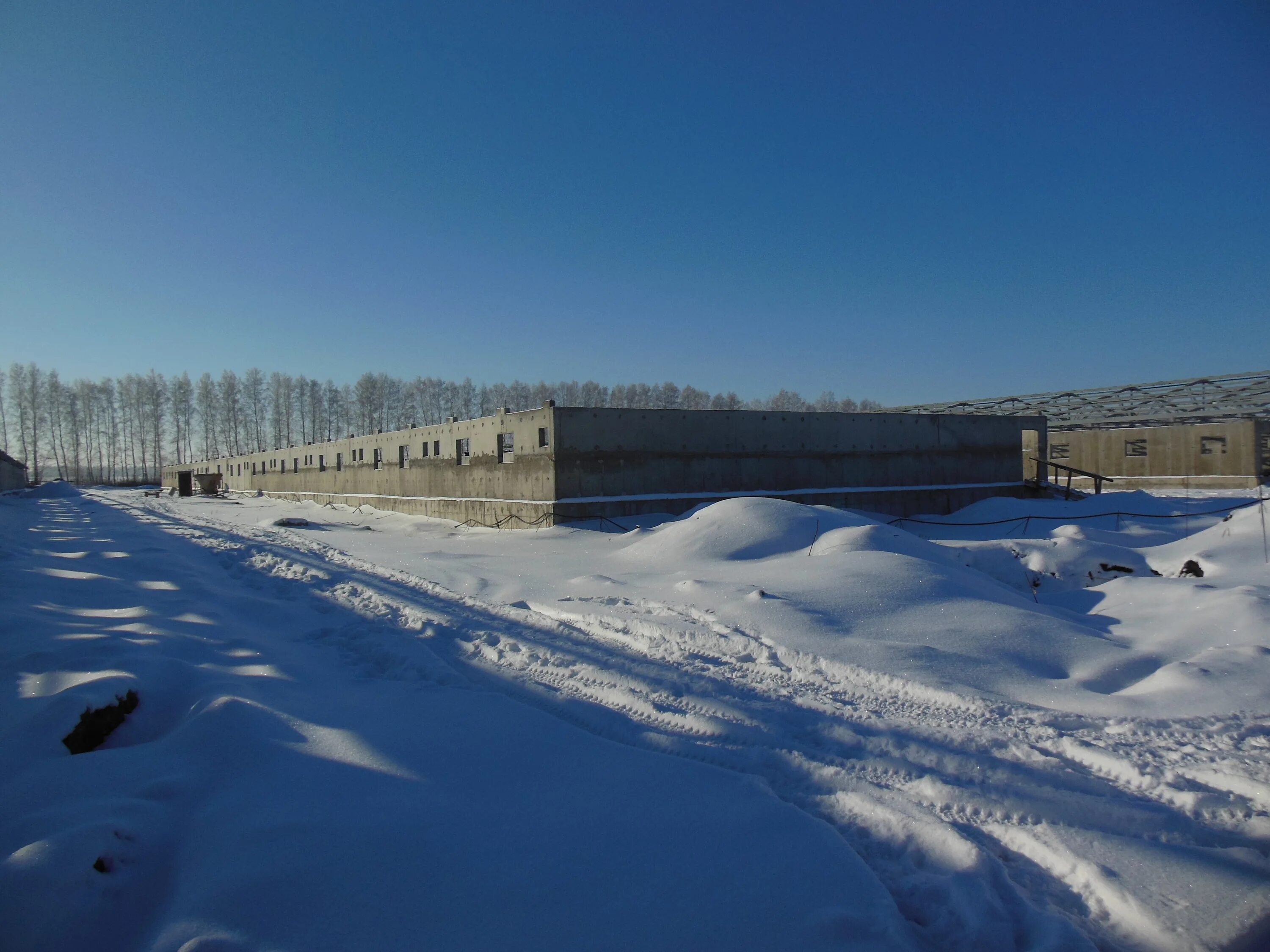 Усадьба в мансурово медведева. Мансурово. С днем сельского хозяйства. Агрокомплекс мансурово сотрудники компании. Мансурово курск.