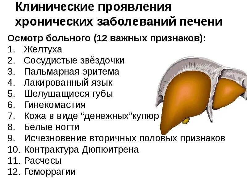 Гепатит с работать. Симптомы болезни печени. Причины заболевания печени. Патология печени симптомы.