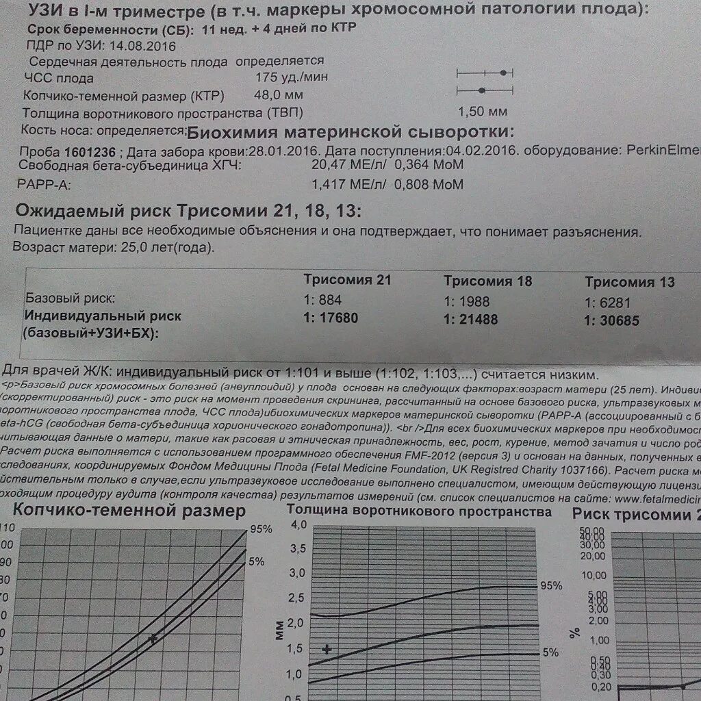 1 скрининг расшифровка результатов. Нормальные показатели скрининга 1 триместра 13 недель. Нормы биохимического скрининга 1 триместра расшифровка. Нормы показателей первого скрининга беременности. Расшифровка первого скрининга при беременности 12.