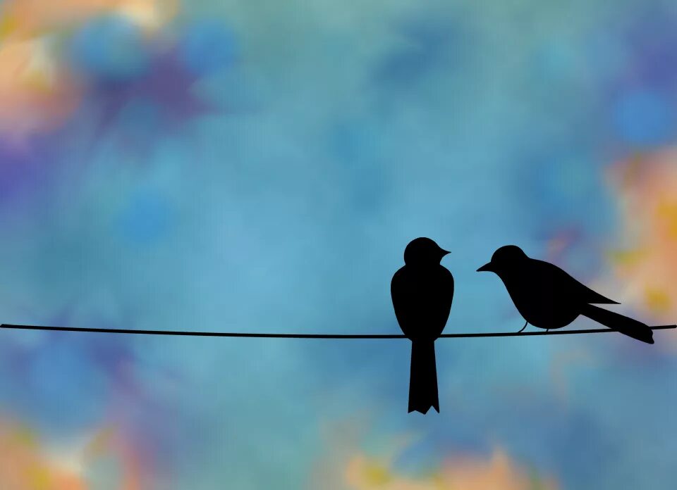 Two Birds on a wire. Две птицы друг напротив друга. Birds Wireless wire. Песня two birds on a wire