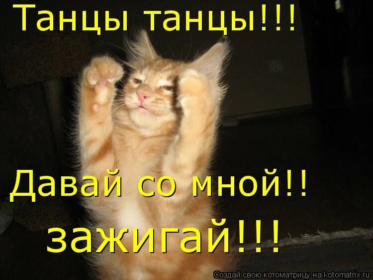 Дай со