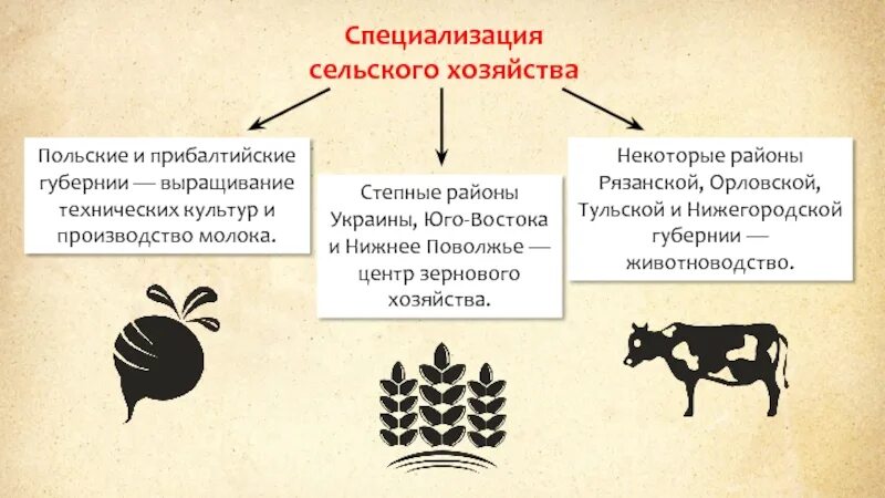 Сельское хозяйство при Александре 3. Специализация сельского хозяйства. Специализация сельского хоз это. Специализация сельского хозяйства Польши.