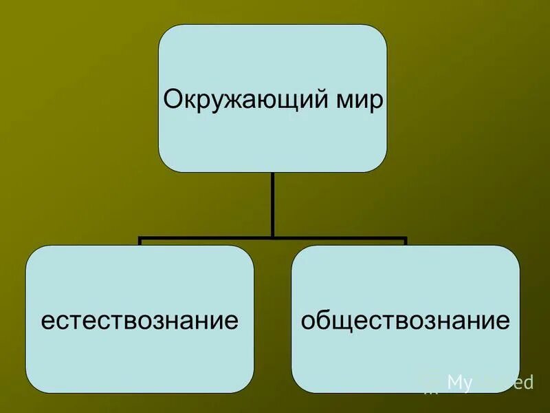 различие естествознания и обществознания. сходство и различие естествознания и обществознания. различие естествознания и обществознания. различие естествознания и обществознания. различие естествознания и обществознания.