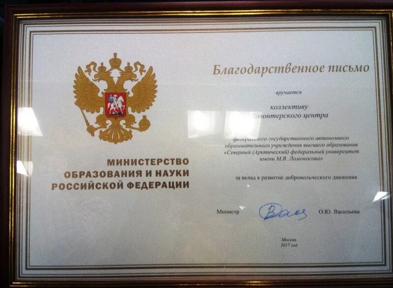 Выдается благодарность. Благодарственное письмо кому вручается. физической культуры и спорта выражает благодарность. благодарности сафу картинка. благодарственное письмо вручается абрамову илье.