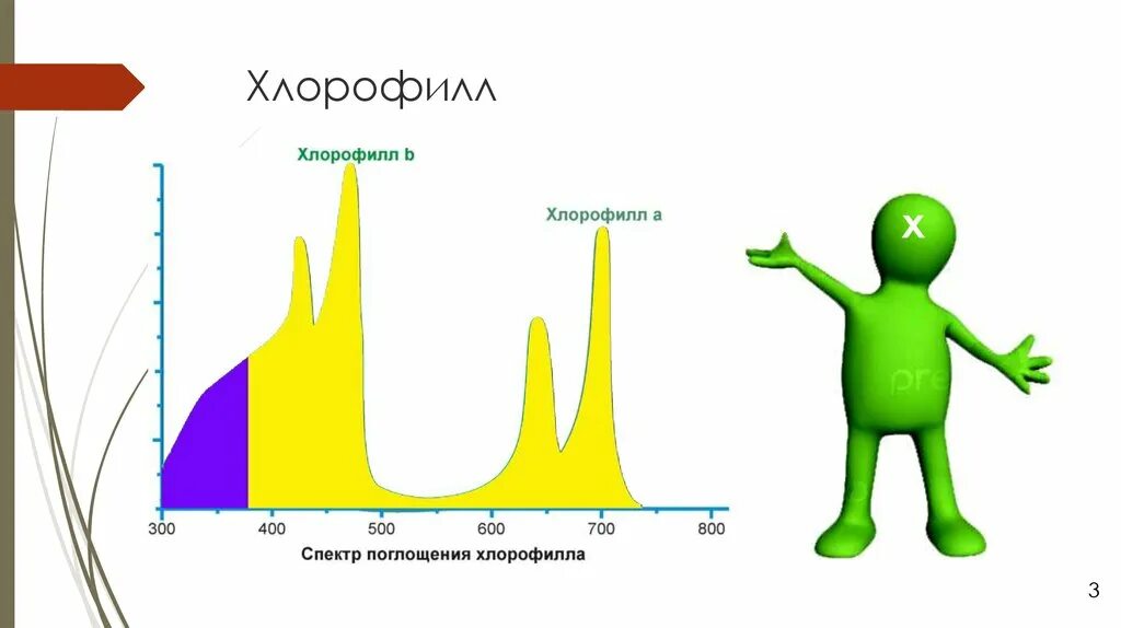 Поглощение хлорофилла. Спектр хлорофилла. Поглощение света хлорофиллом. Хлорофилл поглощает свет. Хлорофиллы поглощают свет