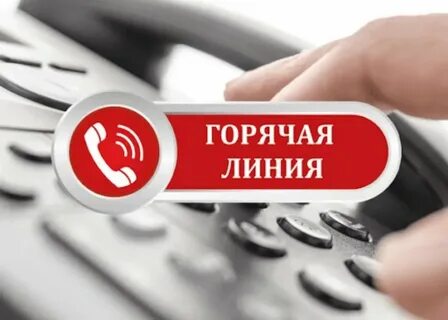 Горячие вопросы