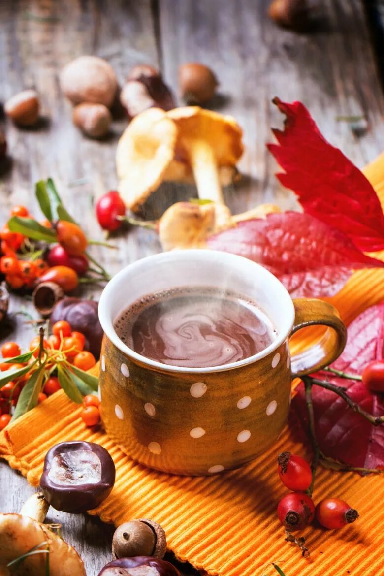 Осень горячий кофе. Чашка чая осень. Осеннее чаепитие. Осенний чай. Осеннее утро с чаем.