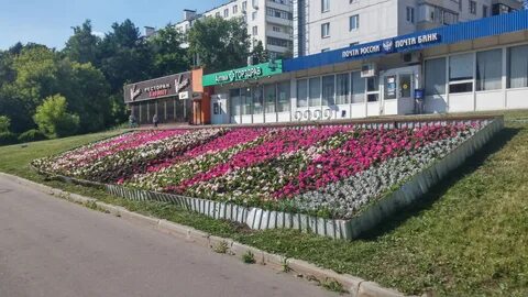 Цветы ульяновск засвияжье