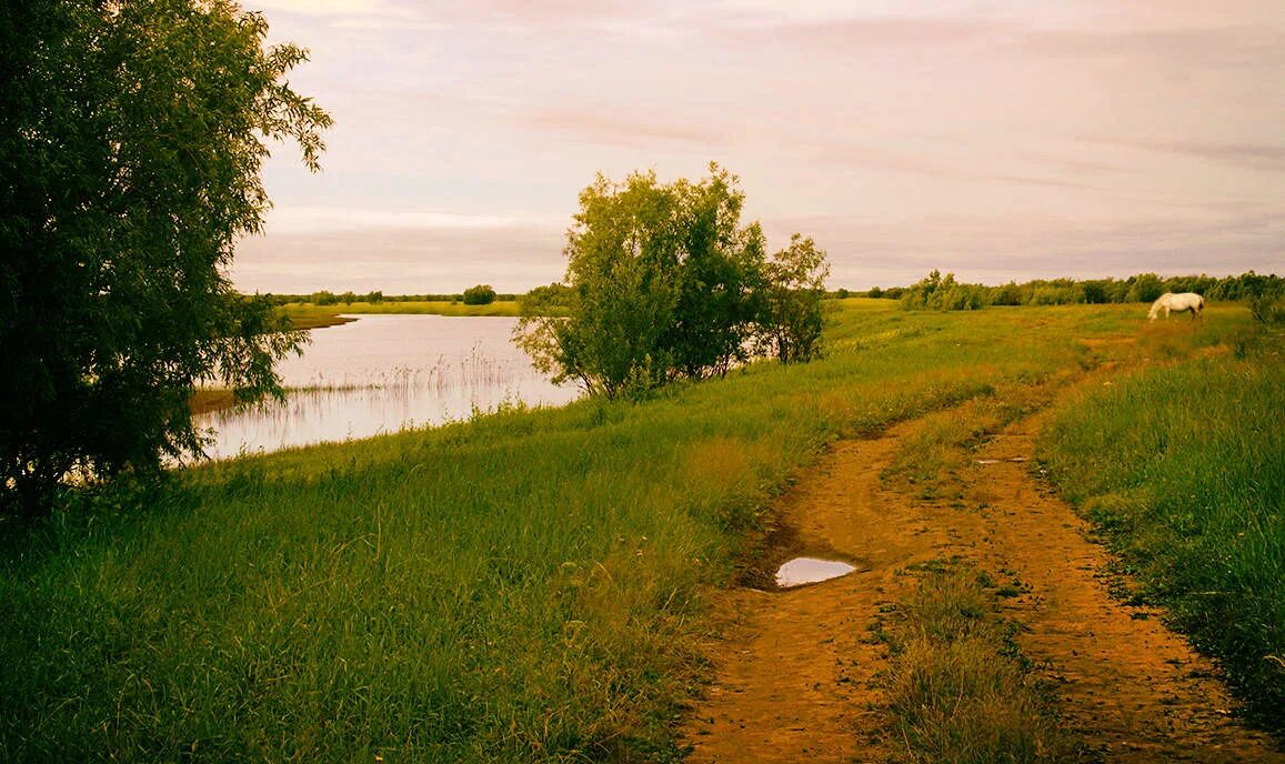 Река тропка Конаковский район. Деревня поля речка. Речка в деревне. Дорога вдоль реки. Наблюдать речка