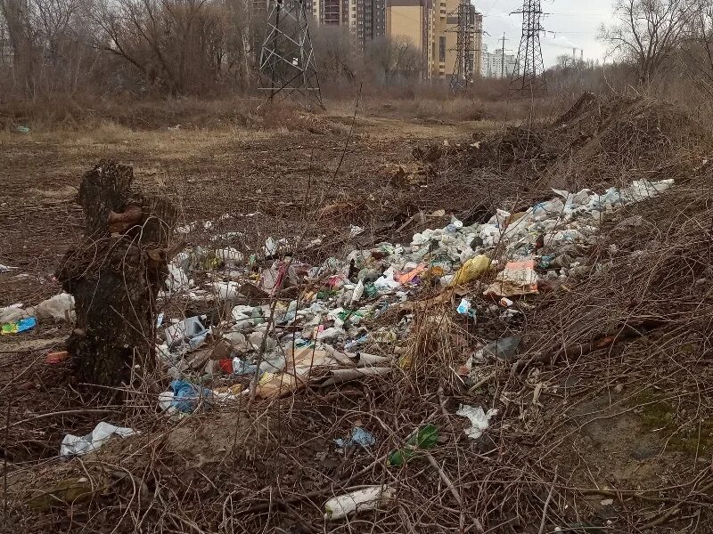 Воронежская городская свалка. Полигон ТБО Воронеж. Мусорный полигон Воронежская область.