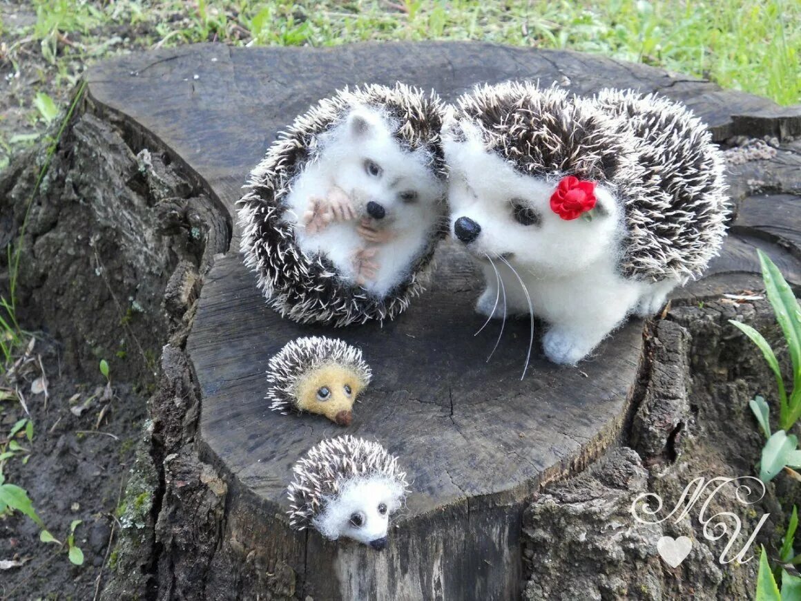 Коричневый еж. Еж ежонок ежата. Ежиная ферма. Ёжики семья ежата. Красивый ежик.