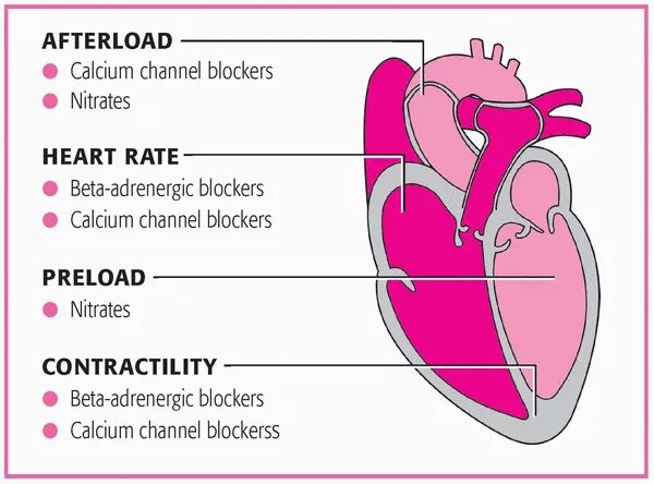 Preload metadata. Afterload. preload and afterload. preload cardiac. cardiac care индия.