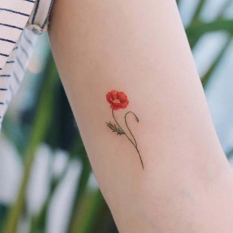 Tiny flower
