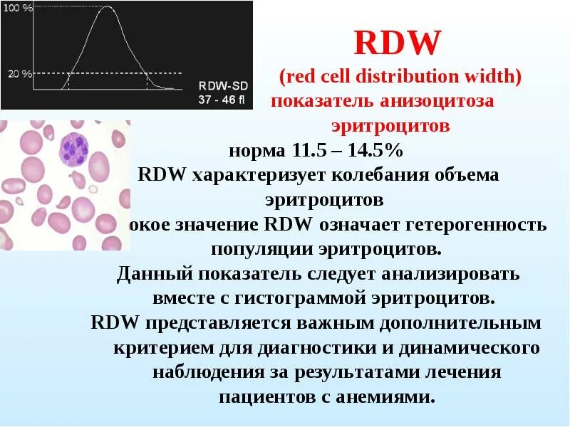 Rdw в анализе повышен у мужчин. Показатель анизоцитоза эритроцитов RDW. Норма анизоцитоза эритроцитов. ОАК RDW. RDW норма.