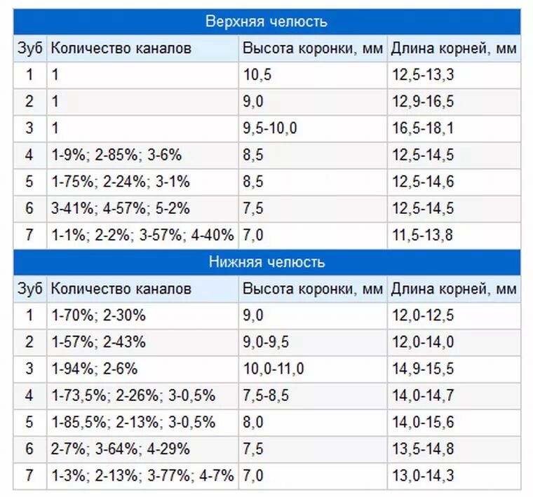 Количество каналов зубов таблица. Длина корневых каналов зубов таблица. Количество каналов в зубах таблица. Количество каналов 6