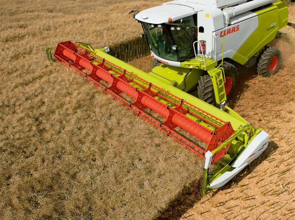 этап уборки зерновых. уборка зерна. американская техника для уборки пшеницы. уборка пшеницы комбайном. этап уборки зерновых.