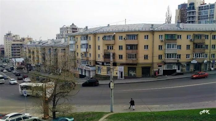Сад Пионеров: первые жертвы большой войны" Воронежский областной краеведческий м