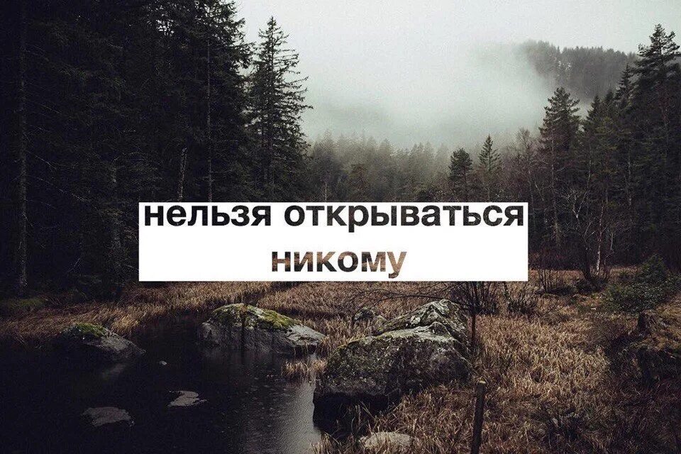 Человек никому не открывается. Никогда никому не открывайся. Не открывайся никому. Не открывай душу никому. Никогда никому не открывай душу.