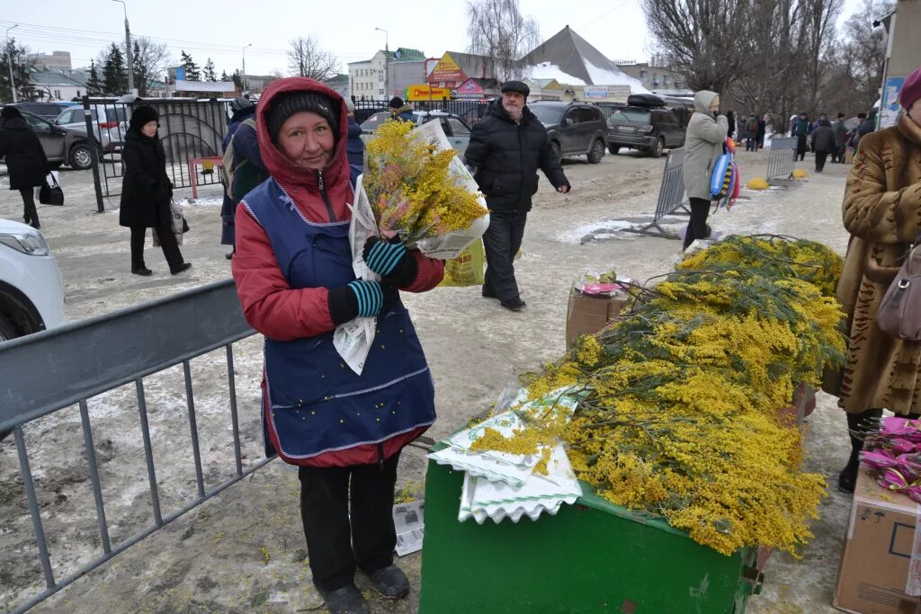 Где купить оптом мимозу. Мимоза торговля на улице. Букет мимозы на рынке. Мимоза на рынке.