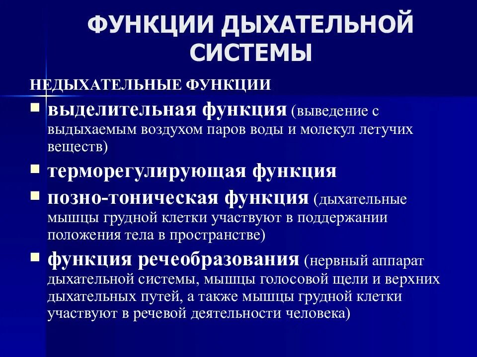 Недыхательные функции дыхательной системы. Функции выполняет дыхательная система. Основные функции дыхательной системы. Основные функции органов дыхания.