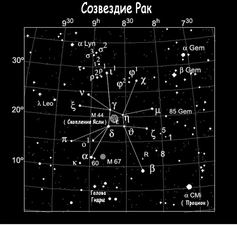Сказка про знаки зодиака: найдено 78 изображений