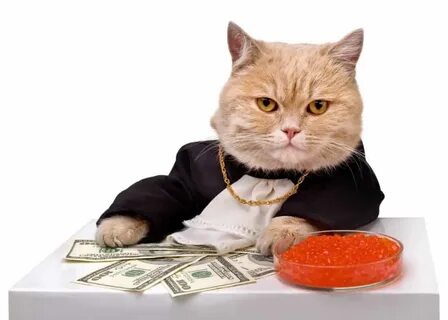 Cat in a tuxedo with a pile of cash 