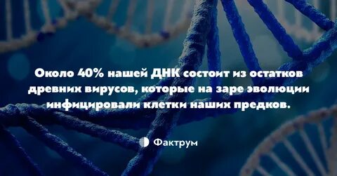 Факты 25
