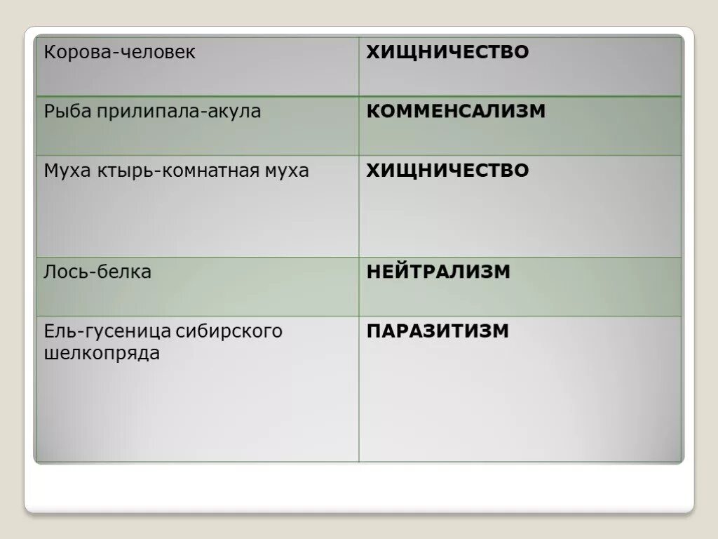 Корова человек тип биотических отношений. Корова и человек Тип взаимоотношений. Человек и корова Тип взаимодействия. Тип личности корова.