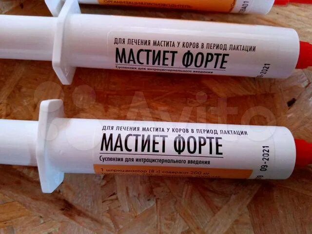 Мастиет форте шприц. Мастиет форте мазь. Мазь мастиет форте для коров. Мастиет форте для коров шприцы от мастита. Мастиет форте купить