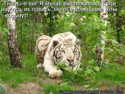 Пошла попробую