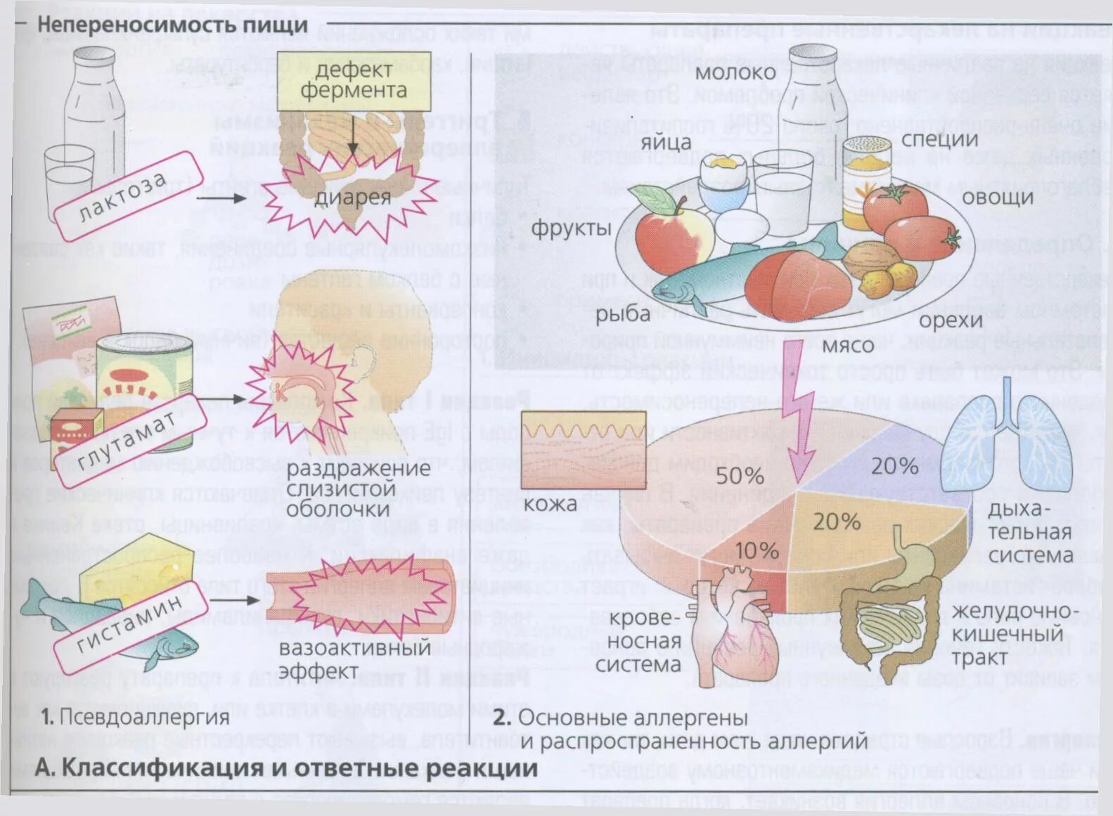 Белок крови молока. Непереносимость пищевых продуктов. Диета при аллергии на яйца у детей. Аллергическая реакция на молочную продукцию.