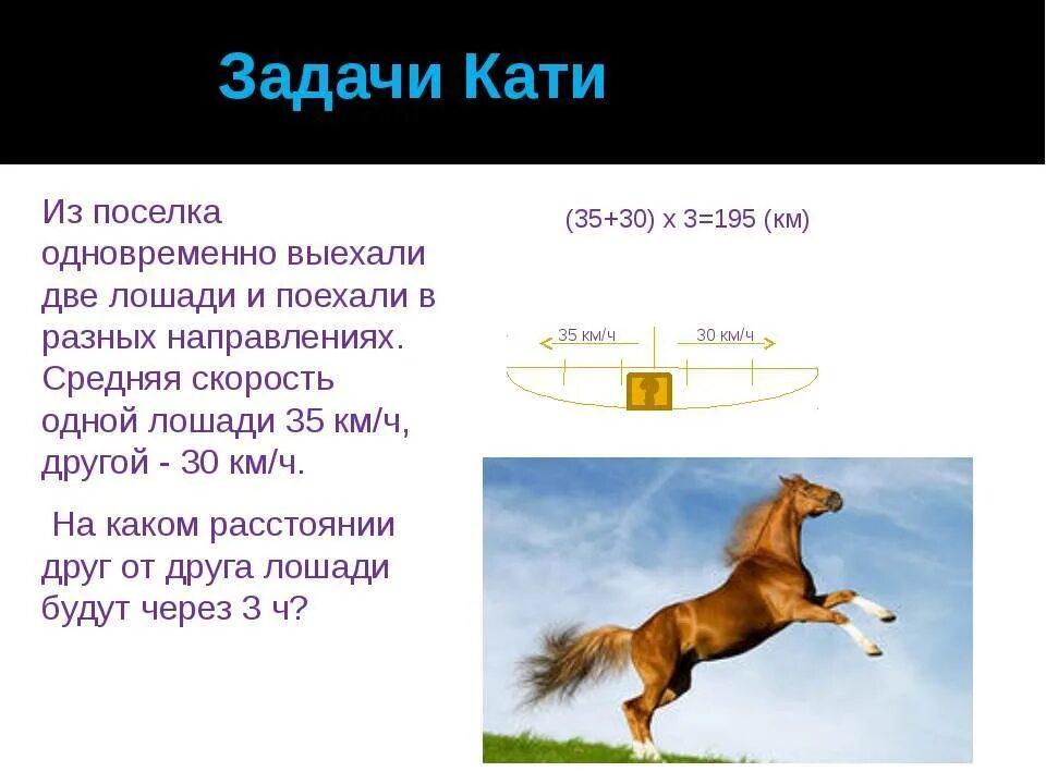 Сколько километров в час пробегает. Скорость лошади. Средняя скорость лошади. Максимальная скорость лошади. Скорость лошади км/ч максимальная.