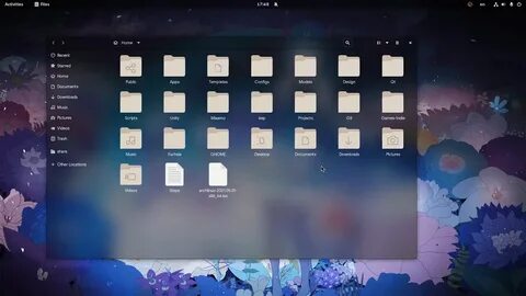 Gnome 40