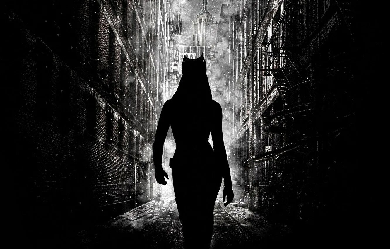 Dark Knight Rises Catwoman. Темный силуэт. Девушка во мраке. Силуэт в темноте. Темный человек рассказ