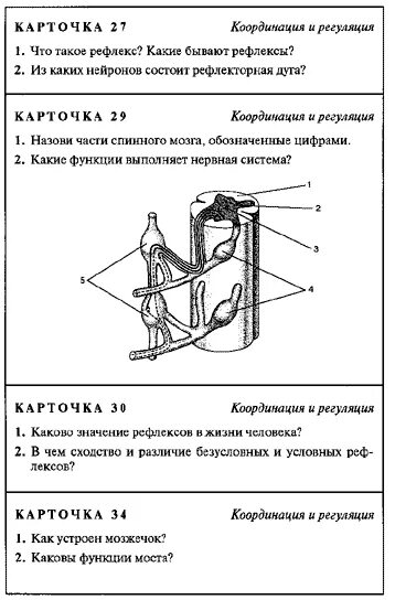 Тест по биологии по теме нервная система. Карточки с заданиями по теме нервная система. Дидактические карточки по биологии 8 класс. Дидактическая карточка по биологии 8 класс ответы. Класс нервная система дидактические карточки по биологии.